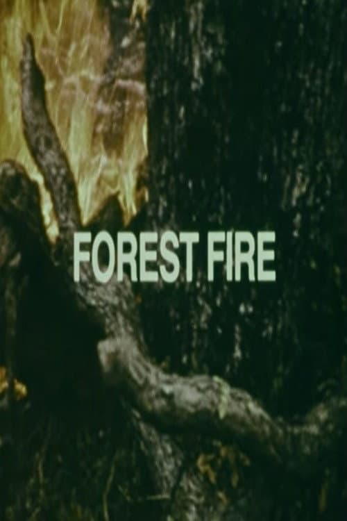 Your Chance to Live: Forest Fire poster