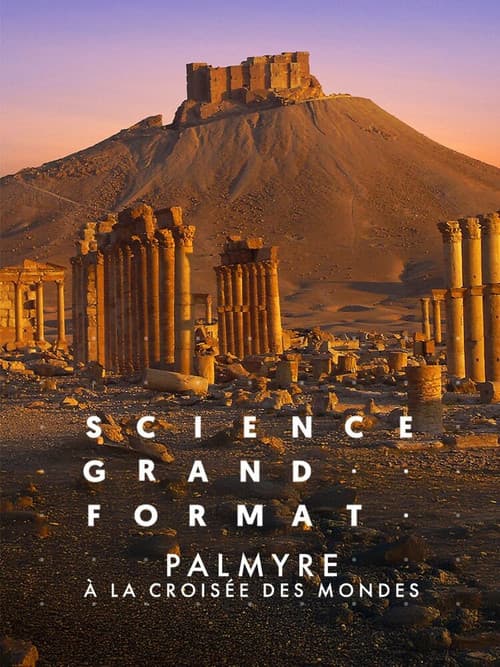 Palmyre, à la croisée des mondes poster