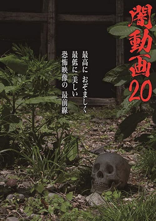 Tokyo Videos of Horror 20 poster