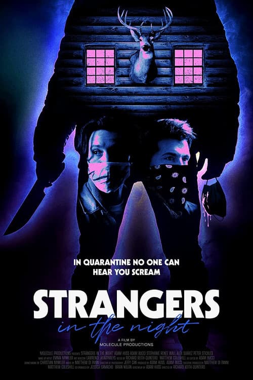 Strangers in the Night poster