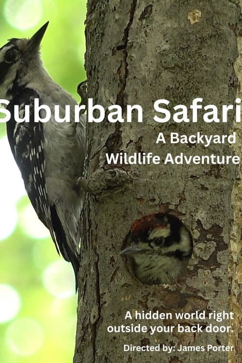 Suburban Safari: A Backyard Wildlife Adventure poster