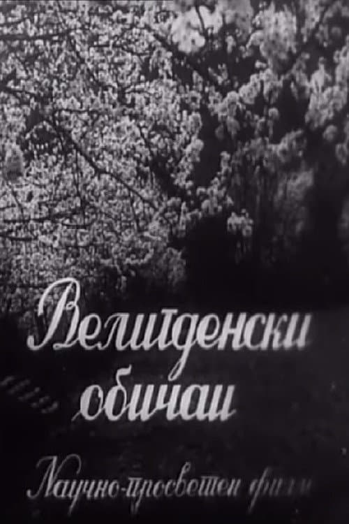 Easter Customs poster