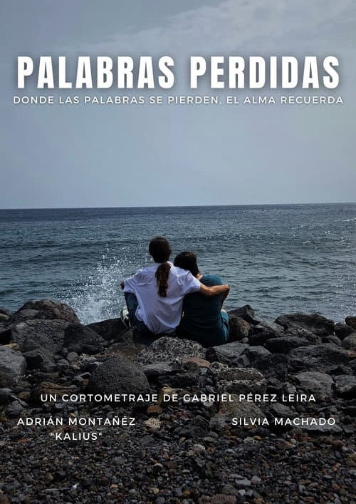 Palabras Perdidas poster