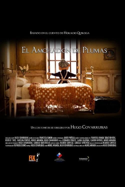 El almohadón de plumas poster