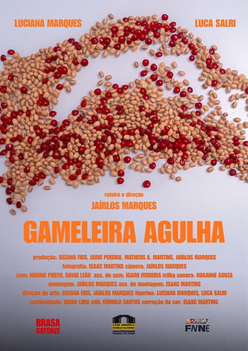 Gameleira Agulha poster