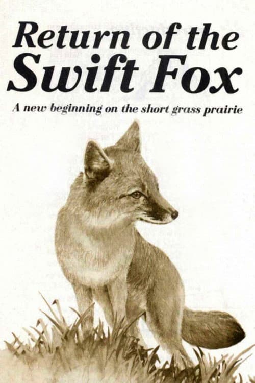 Return of the Swift Fox poster