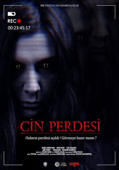 Cin Perdesi poster