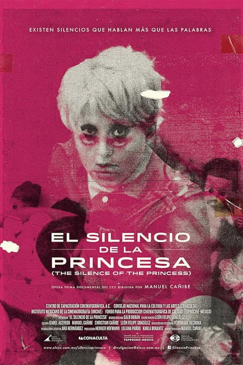 The Silence of the Princess poster