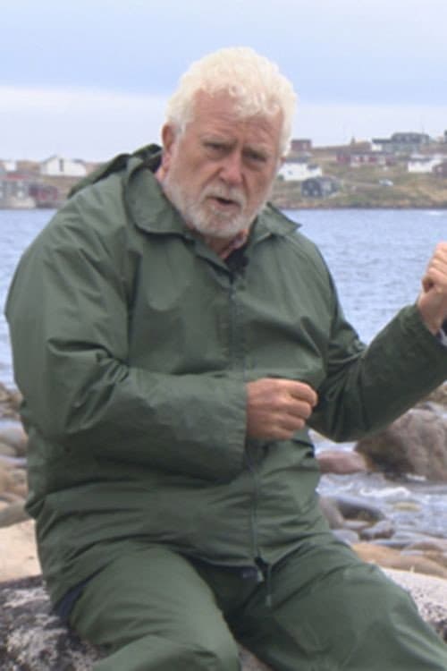 La memoria del arpón poster