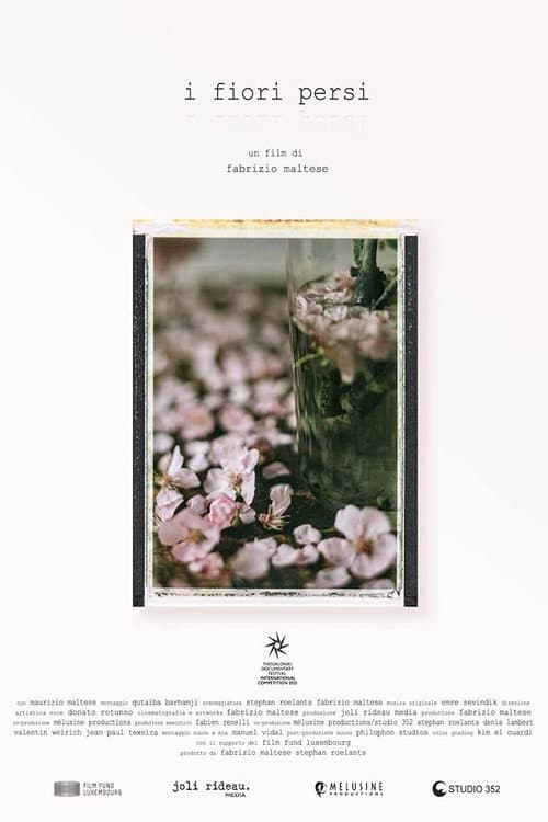 Lost Flowers poster