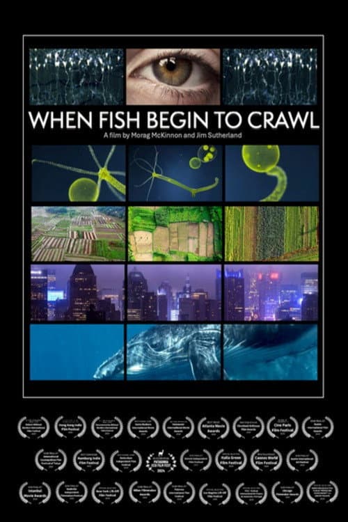 When Fish Begin to Crawl poster