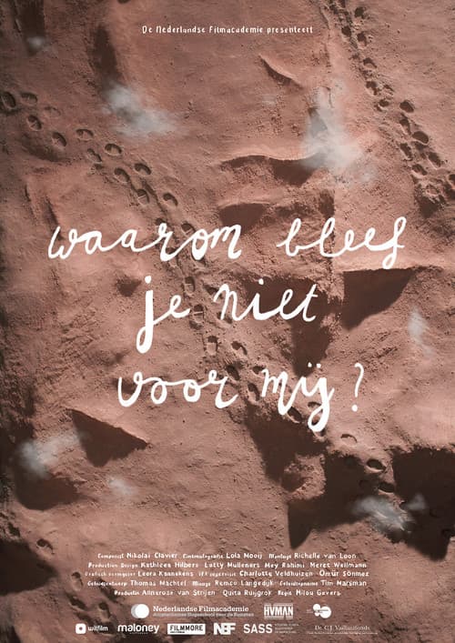 Why Didn’t You Stay for Me? poster