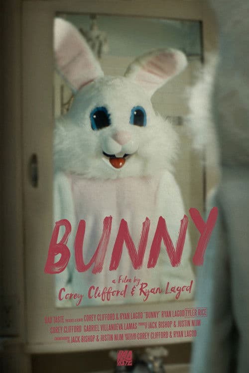 Bunny poster