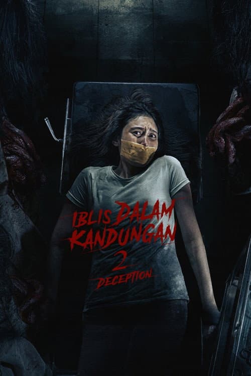 Devil in the Womb 2: Deception poster