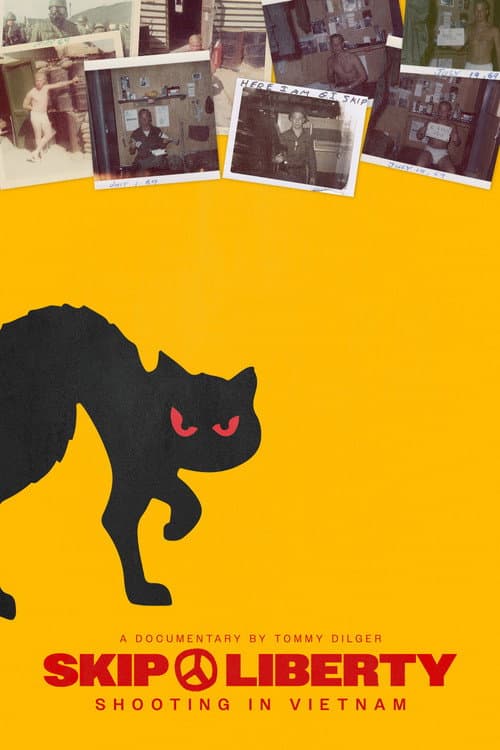 Skip Liberty: Shooting in Vietnam poster