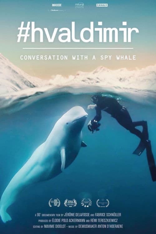 #Hvaldimir, Conversation With a Spy Whale poster