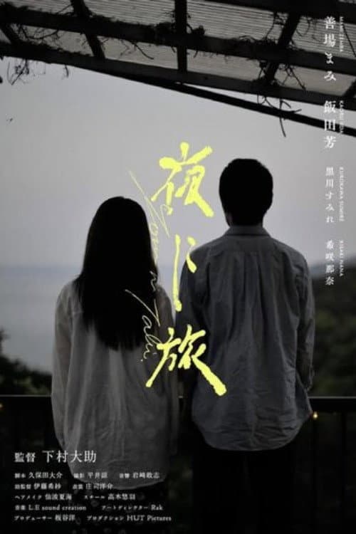 Journey Through the Night poster