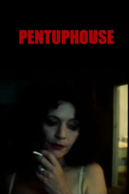 Pentuphouse poster