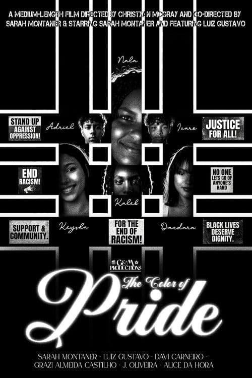 The Color of Pride poster