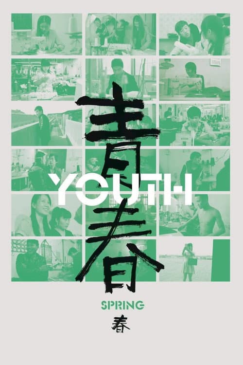 Youth (Spring) poster