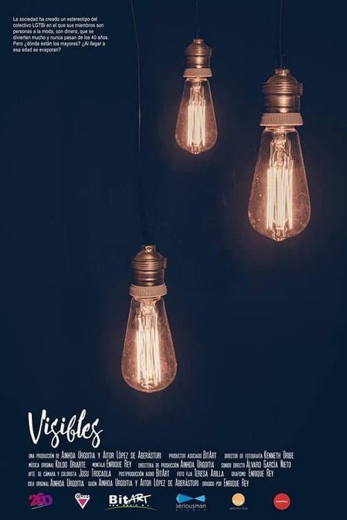 Visibles poster