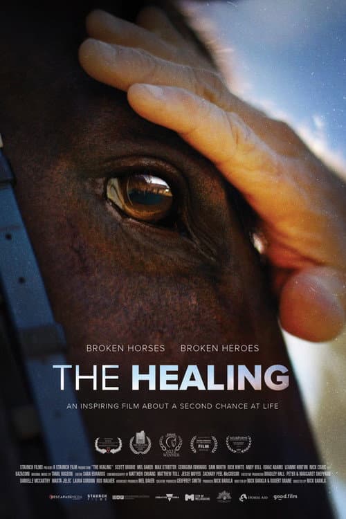 The Healing poster