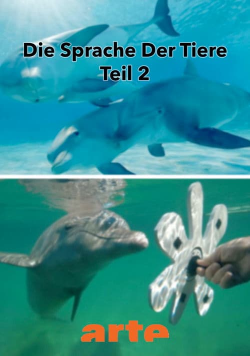 Die Eloquenz der Tiere (2/2) poster