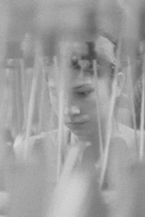 At the Lőrinc Spinnery poster