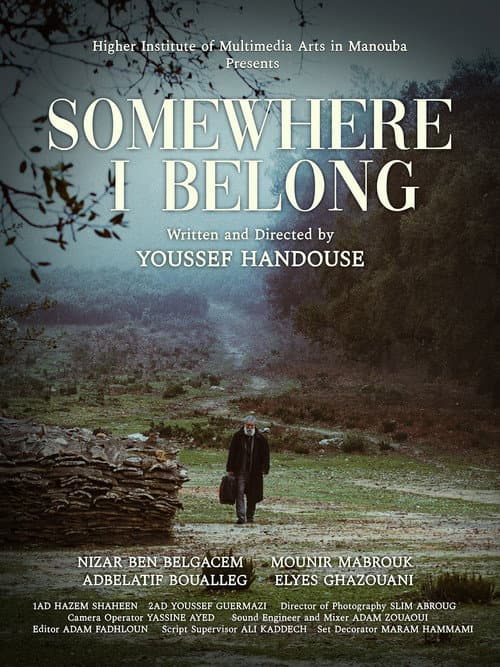 Somewhere I Belong poster