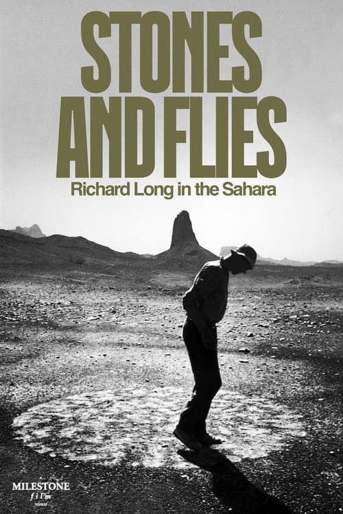 Stones and Flies: Richard Long in the Sahara poster