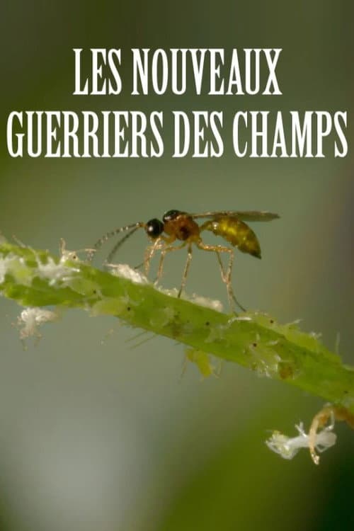 Les nouveaux guerriers des champs poster
