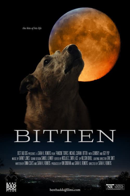 Bitten poster