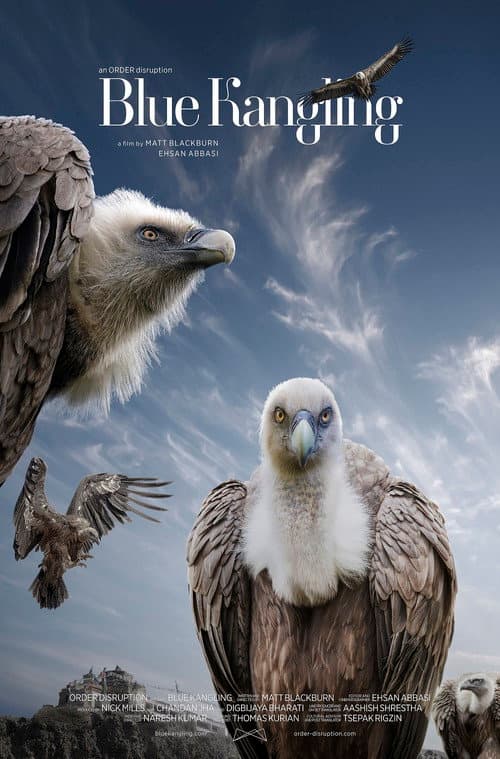 Blue Kangling poster