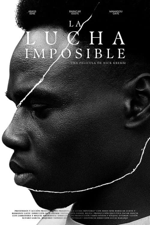 The Impossible Fight poster