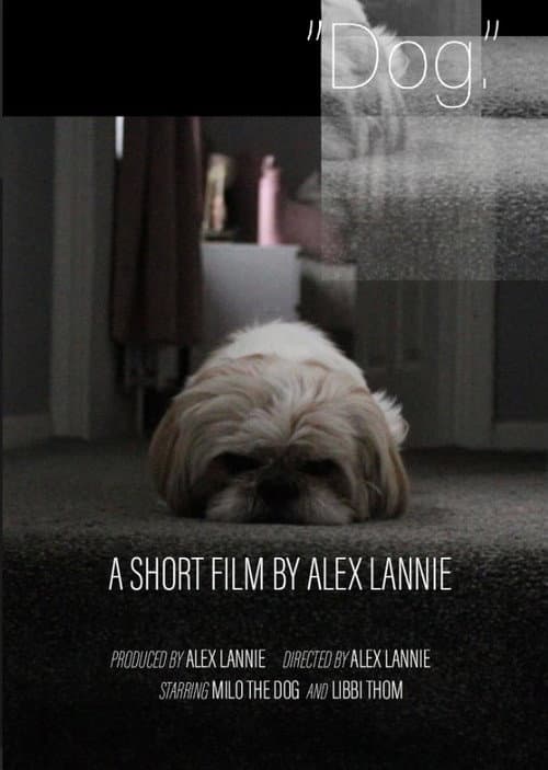 “Dog.” poster