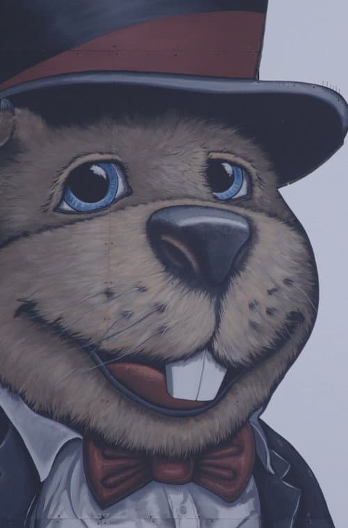 Groundhog Town poster