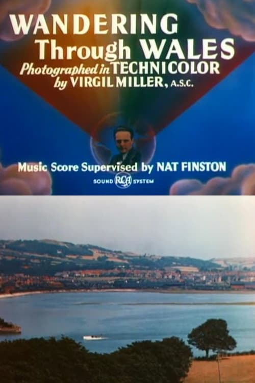 Wandering Through Wales poster