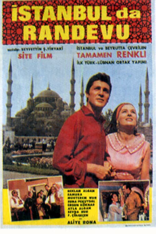 Love in Istanbul poster