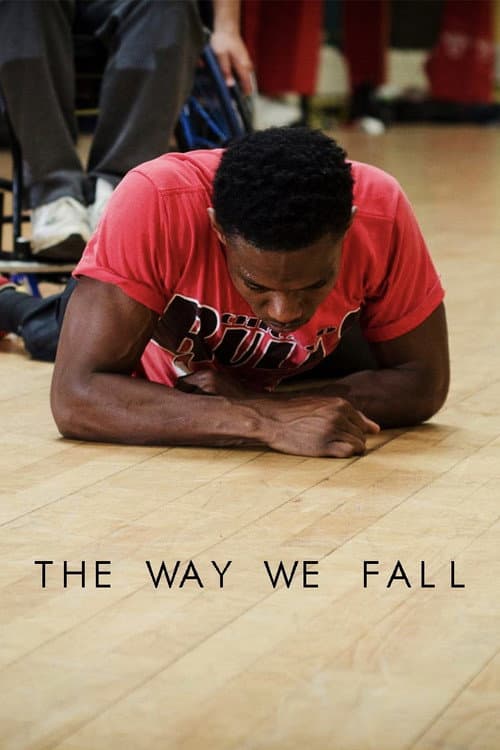The Way We Fall poster