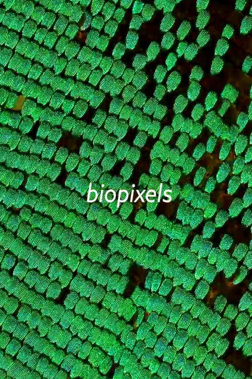 biopixels poster