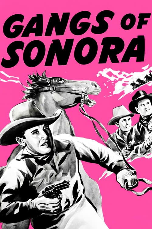 Gangs of Sonora poster