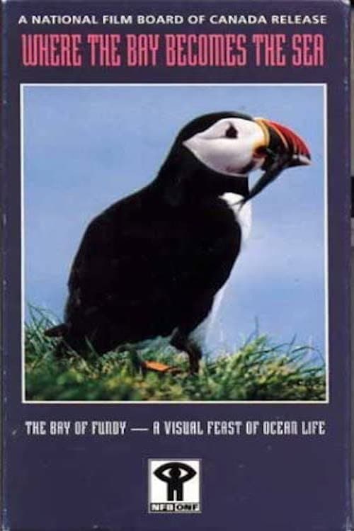 Where the Bay Becomes the Sea poster