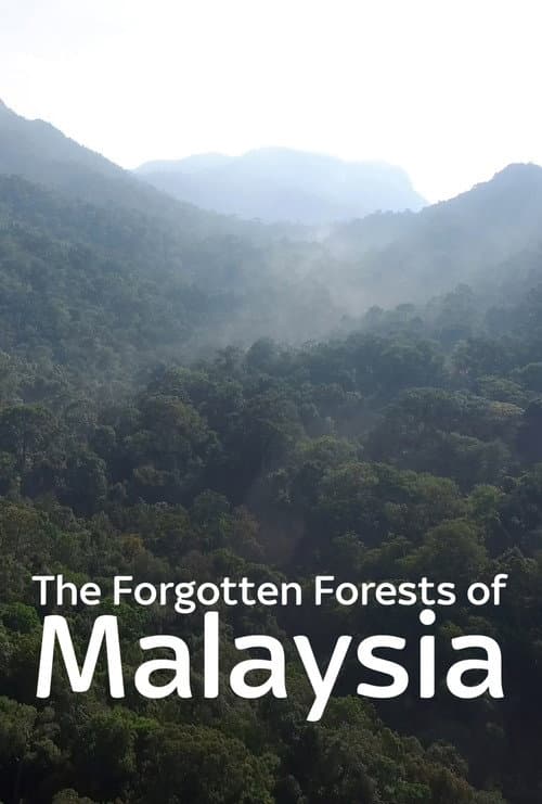 The Forgotten Forests of Malaysia poster