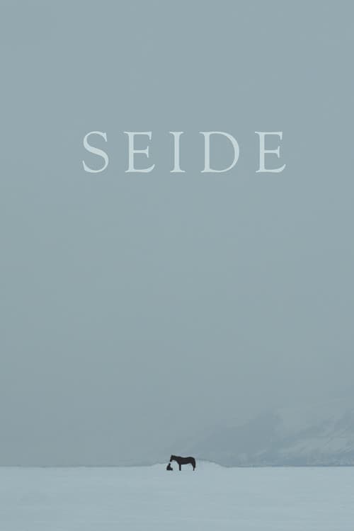 Seide poster