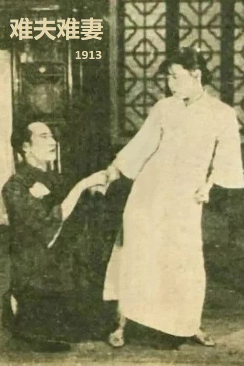 Wedding Festivities poster