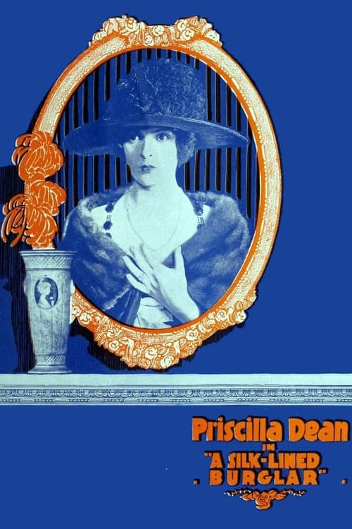 The Silk Lined Burglar poster