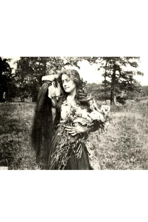 The Little Minister poster