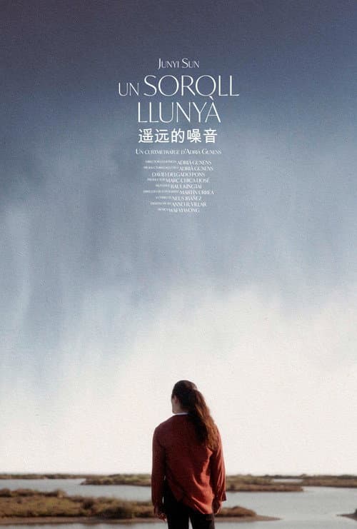 A Distant Noise poster