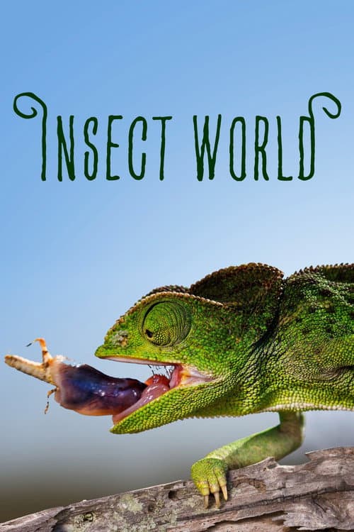 Insect World poster