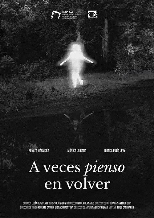 A veces pienso en volver poster